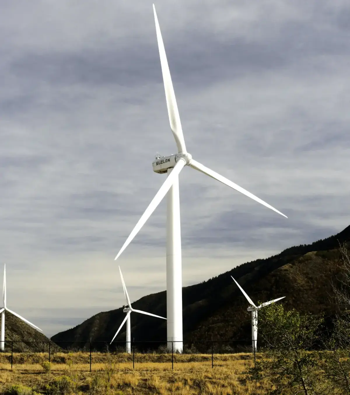 Renewable Company Image